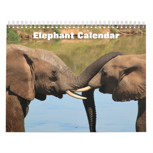 Calendrier Elephant 2025 (Protection)