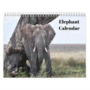 Calendrier Éléphant 2026 
