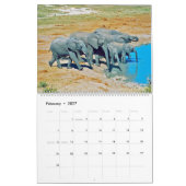 Calendrier éléphants (Feb 2027)