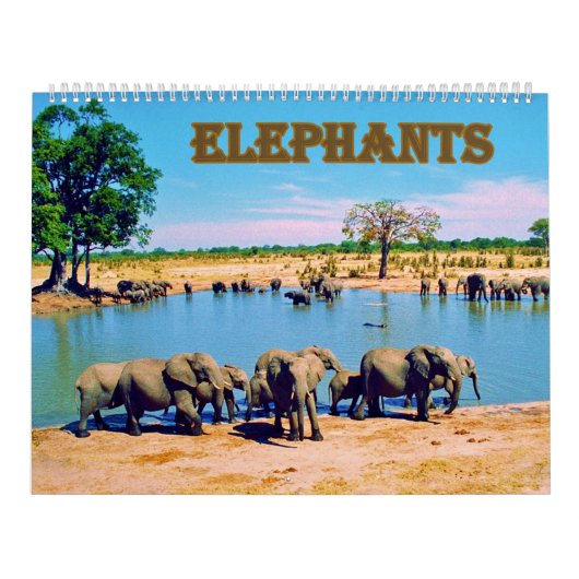 Calendrier éléphants (Protection)