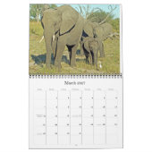 CALENDRIER ÉLÉPHANTS (Mar 2027)