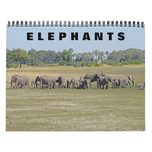 CALENDRIER ÉLÉPHANTS (Protection)