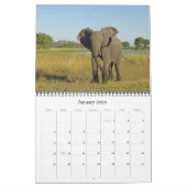 CALENDRIER ÉLÉPHANTS (Jan 2026)