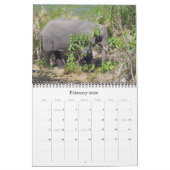 CALENDRIER ÉLÉPHANTS (Feb 2026)