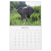 Calendrier éléphants 2025 (Mar 2027)