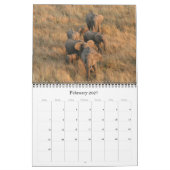 Calendrier éléphants 2025 (Feb 2027)