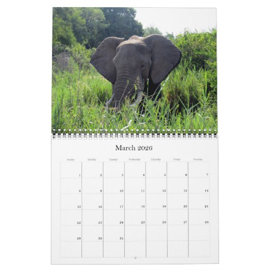 Calendrier éléphants 2025 (Mar 2026)