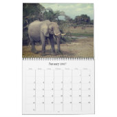 Calendrier éléphants 2027 (Jan 2027)