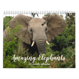 Calendrier Eléphants Extraordinaires 2026