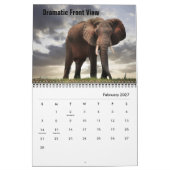 Calendrier Éléphants Sauvages (Feb 2027)