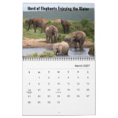 Calendrier Éléphants Sauvages (Mar 2027)