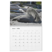 Calendrier Elsie Mae (Mar 2026)