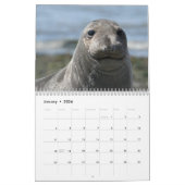 Calendrier Elsie Mae (Jan 2026)