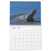 Calendrier Elsie Mae (Feb 2027)