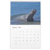 Calendrier Elsie Mae (Feb 2027)
