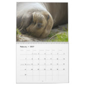 Calendrier Elsie Mae Anacortes Washington (Feb 2027)