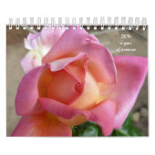 Calendrier en 12 étapes (Protection)