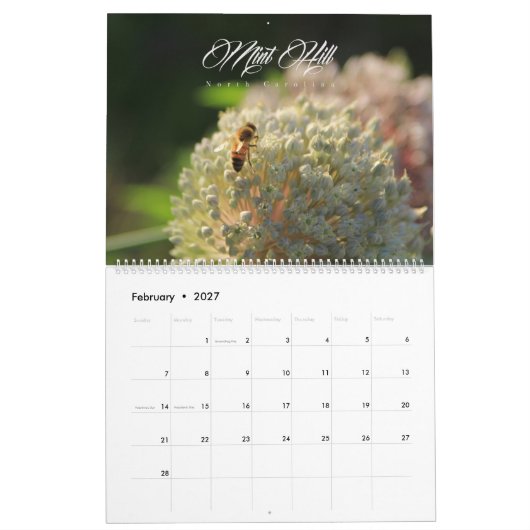 Calendrier en bon état de colline (Feb 2027)