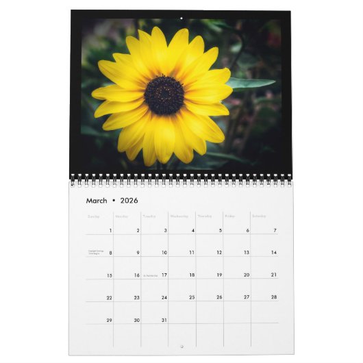 Calendrier Enchanted Garden 12-Month Calendar (Mar 2026)