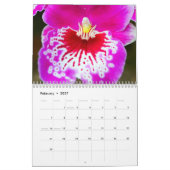 Calendrier Enchanter les orchidées (Feb 2027)
