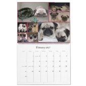Calendrier énorme OzPugs 2009 (Feb 2027)