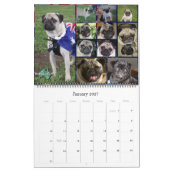 Calendrier énorme OzPugs 2009 (Jan 2027)