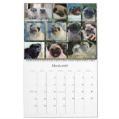 Calendrier énorme OzPugs 2009 (Mar 2027)