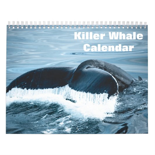 Calendrier Épaulard Orcas 2026 (Protection)