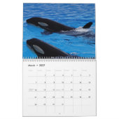 Calendrier Épaulard Orcas 2026 (Mar 2027)