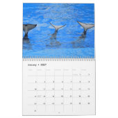 Calendrier Épaulard Orcas 2026 (Jan 2027)