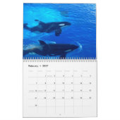 Calendrier Épaulard Orcas 2026 (Feb 2027)
