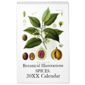 Calendrier Épices 2015 (Protection)