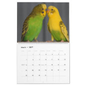 Calendrier Épouses colorées Parakeet Oiseau Amoureux (Mar 2027)