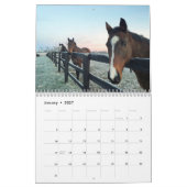 Calendrier équestre Arondel 2021 (Jan 2027)