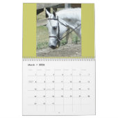 Calendrier équin (Mar 2026)