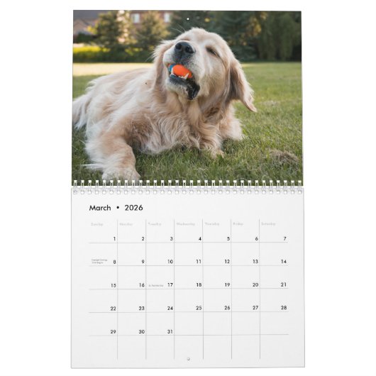 Calendrier Équipe Joey Jax 2016 (Mar 2026)