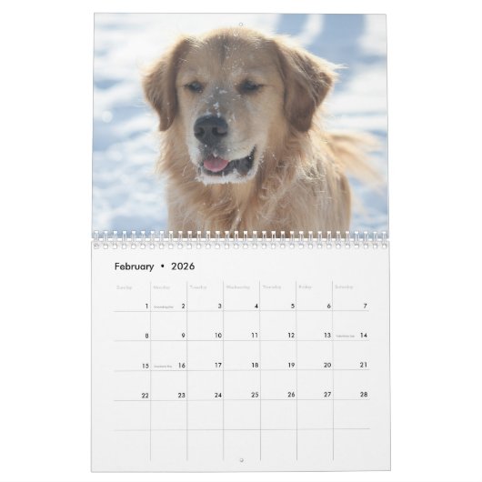 Calendrier Équipe Joey Jax 2016 (Feb 2026)