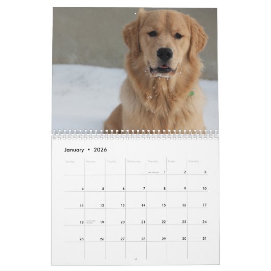 Calendrier Équipe Joey Jax 2016 (Jan 2026)