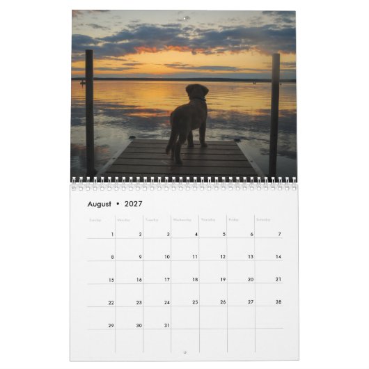 Calendrier Équipe Joey Jax 2016 (Aug 2027)