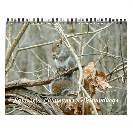 Calendrier - Equipes Chipmunks Groundhogs (Protection)