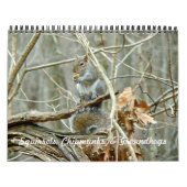 Calendrier - Equipes Chipmunks Groundhogs (Protection)