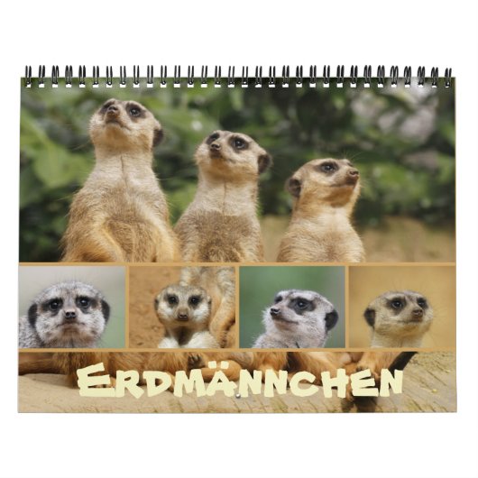 Calendrier Erdmännchen 002 (Protection)