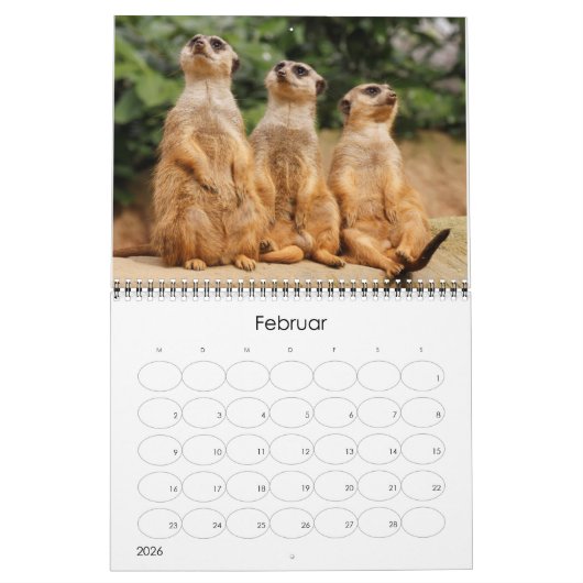 Calendrier Erdmännchen 002 (Feb 2026)