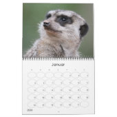 Calendrier Erdmännchen 002 (Jan 2026)