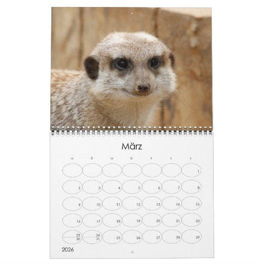 Calendrier Erdmännchen 002 (Mar 2026)