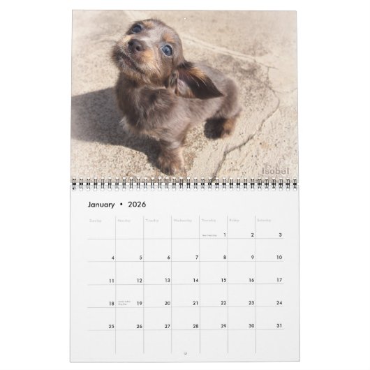 Calendrier Eridox Dachshunds 2020 (Jan 2026)