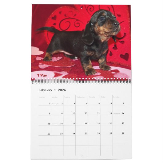 Calendrier Eridox Dachshunds 2020 (Feb 2026)
