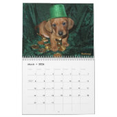Calendrier Eridox Dachshunds 2022 (Mar 2026)