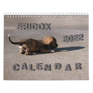 Calendrier Eridox Dachshunds 2022
