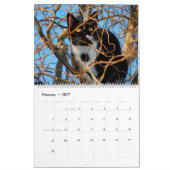Calendrier Escalade arborescente Kitties Cat & Kittens in Tre (Feb 2027)